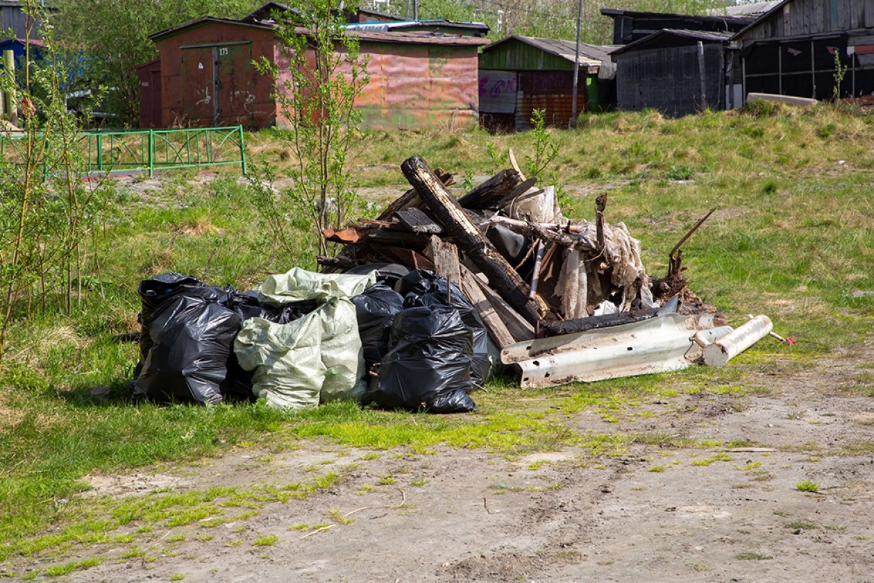 Отследить зарождение свалки