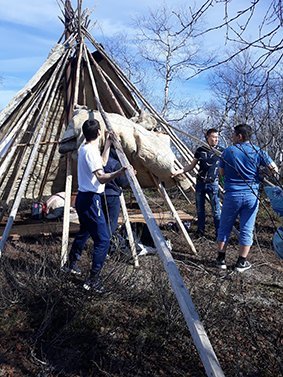 С поклоном лесу и солнцу