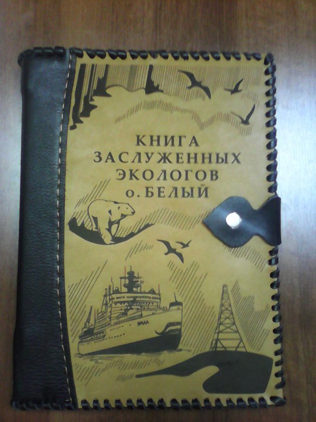 Говорящая обложка