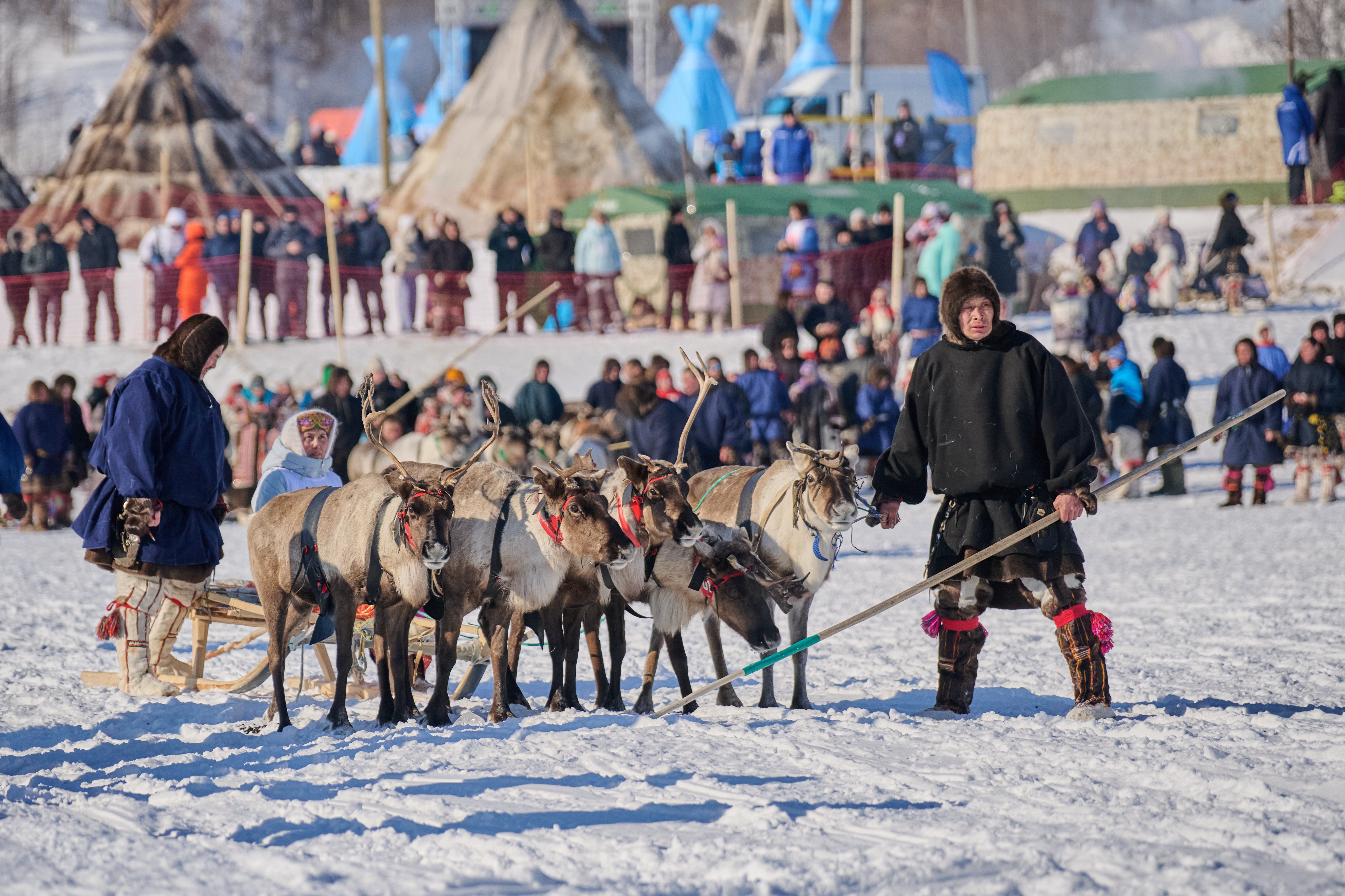 Наш День оленевода – лучший!