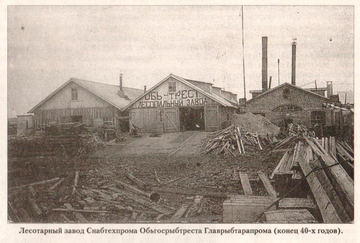 Политически неблагонадёжная
