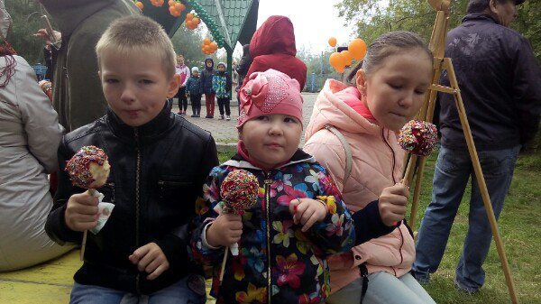 Праздник северной малины