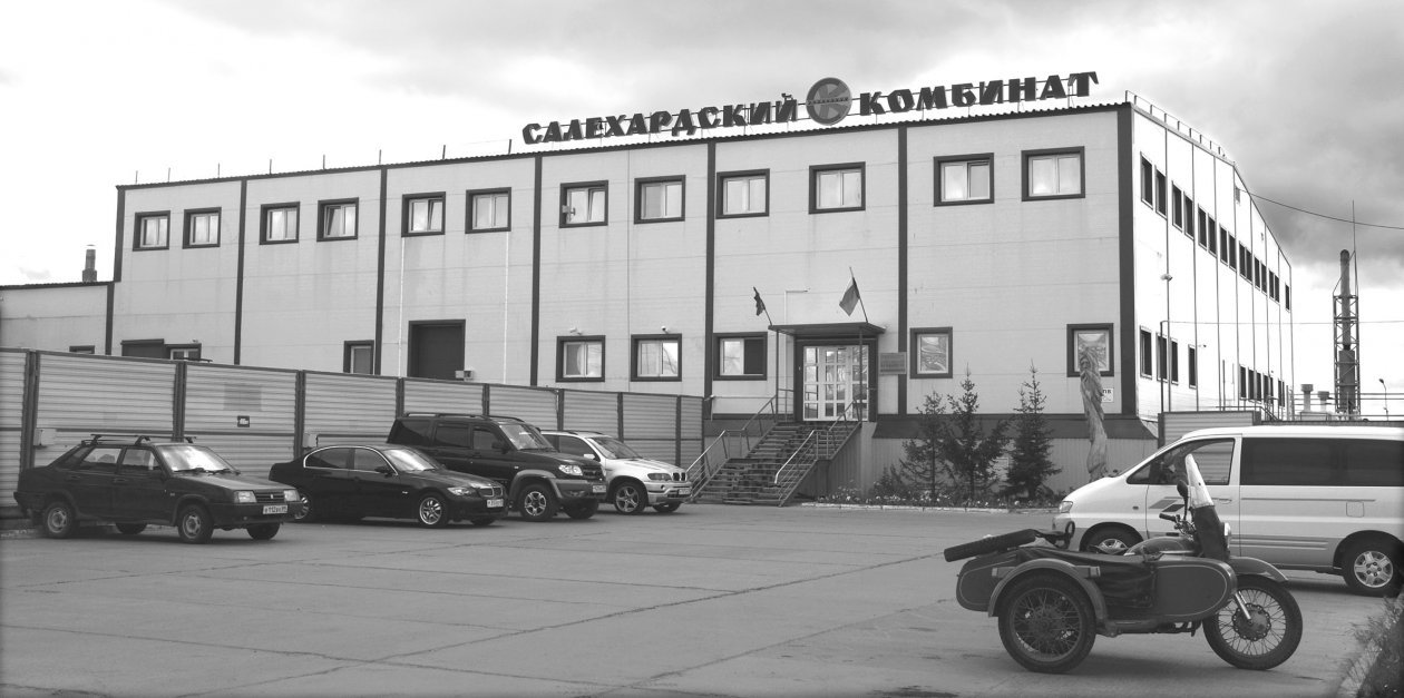 Только первой свежести