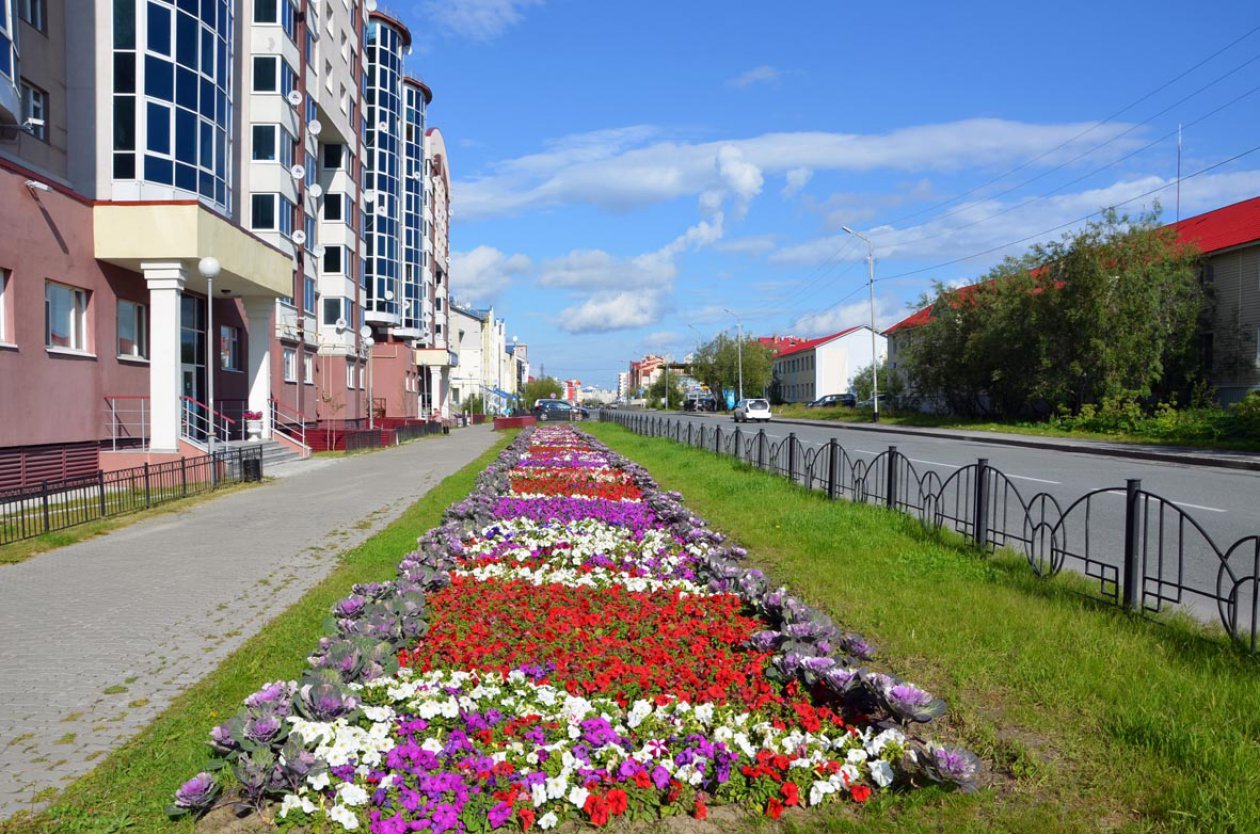 Симфония красок на Полярном круге