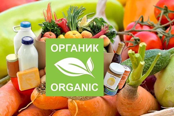 С чем пришёл к нам новый год