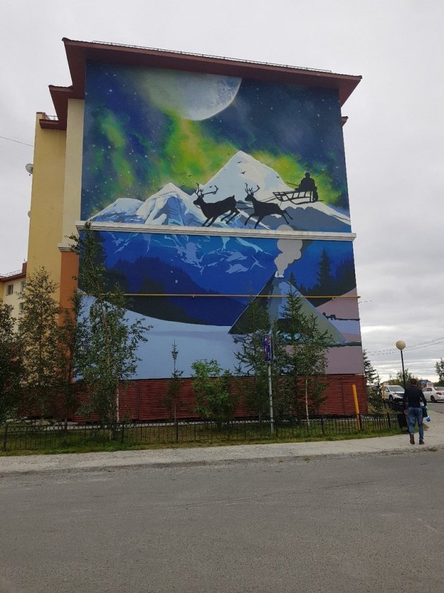 Северное сияние на Арктической