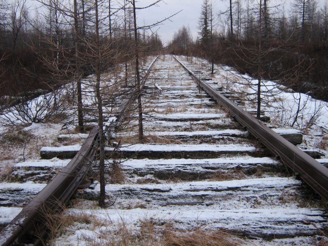 Живая мертвая дорога. Салехард-Игарка железная дорога. Трансполярная железная дорога. Мёртвая дорога Салехард Игарка. Мертвая железная дорога Салехард.