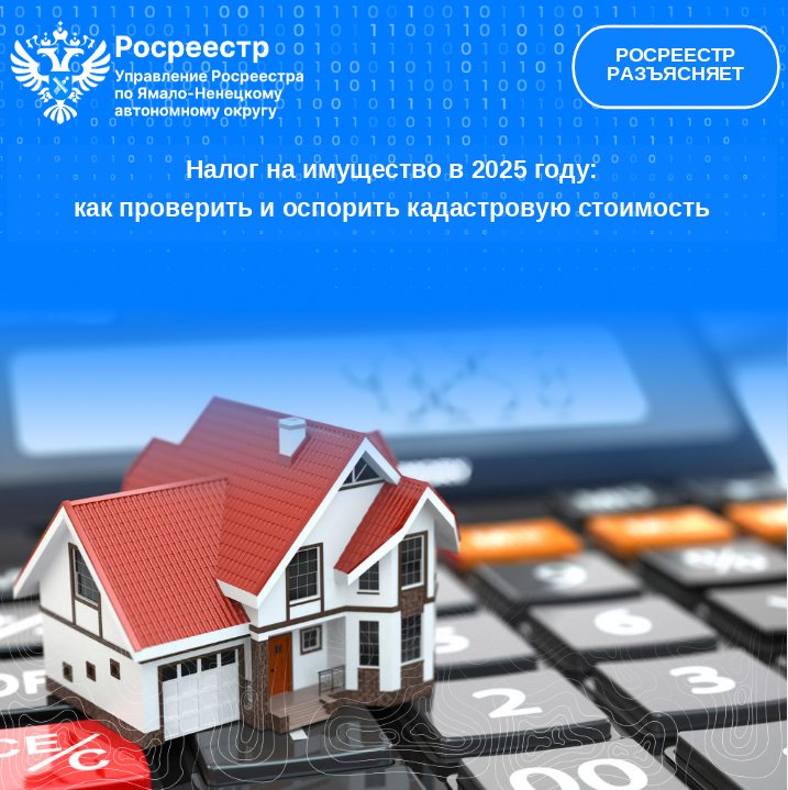 Как проверить и оспорить кадастровую стоимость