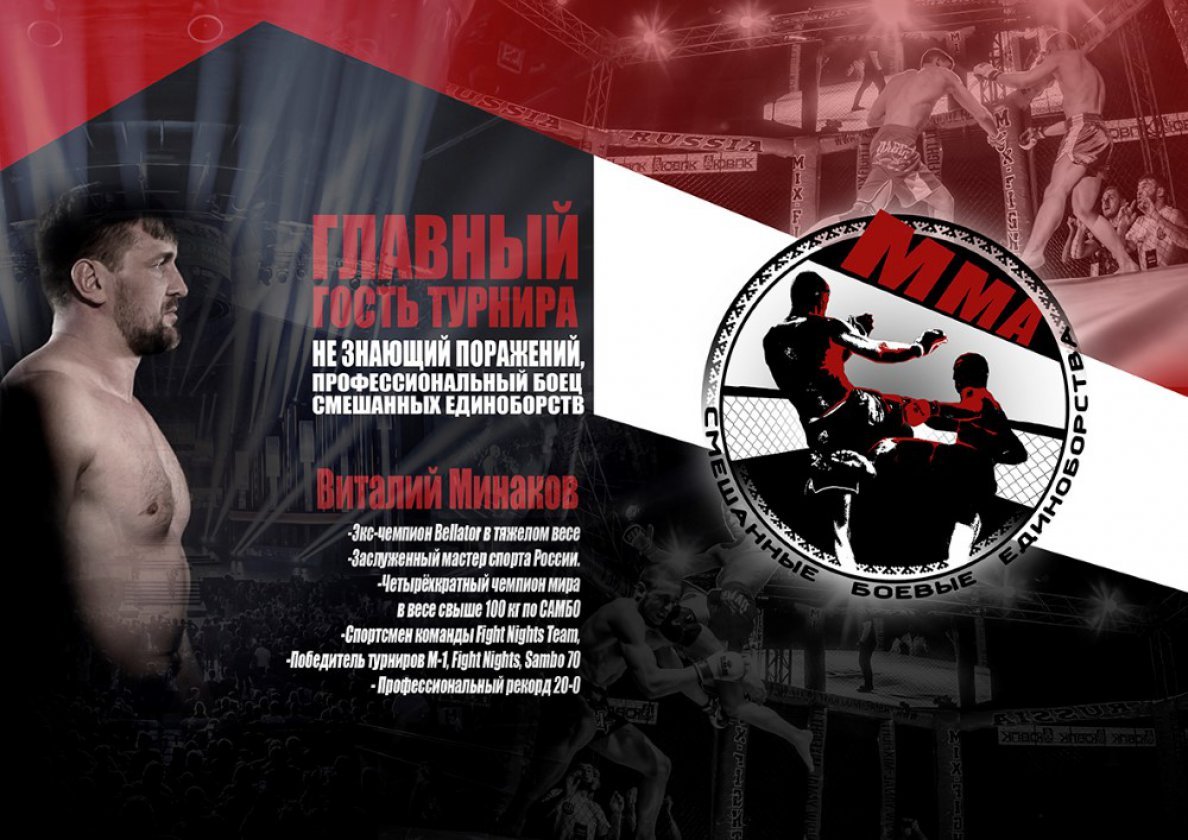Турнир профессионалов