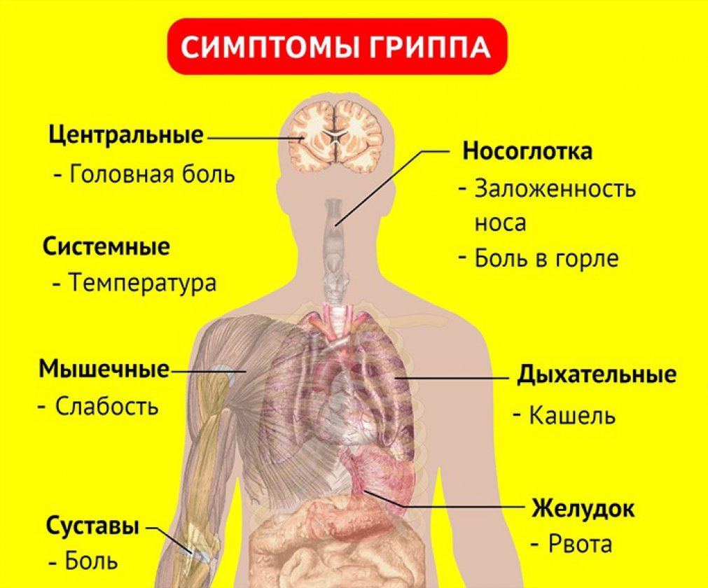 Осторожно, грипп!