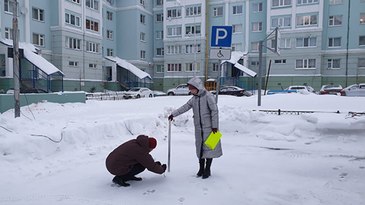 Снежные замеры