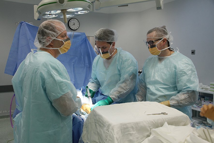 Векторы эффективного здравоохранения