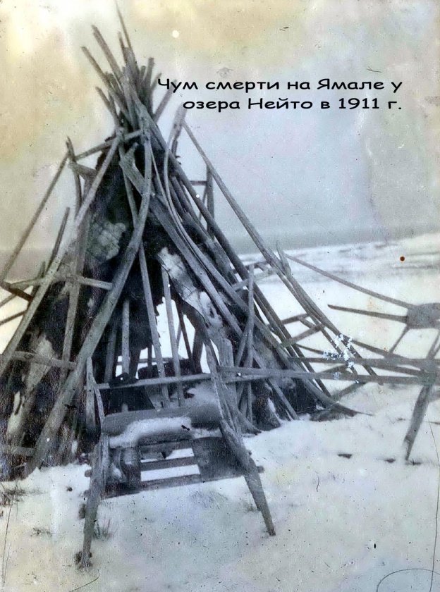 Опасная зараза – сибирская язва
