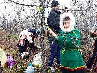 С поклоном лесу и солнцу