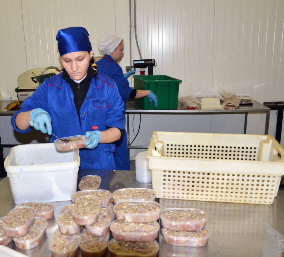 «Орион» выходит на рынок