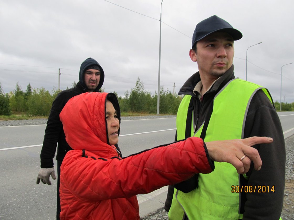 Оленеводство онлайн