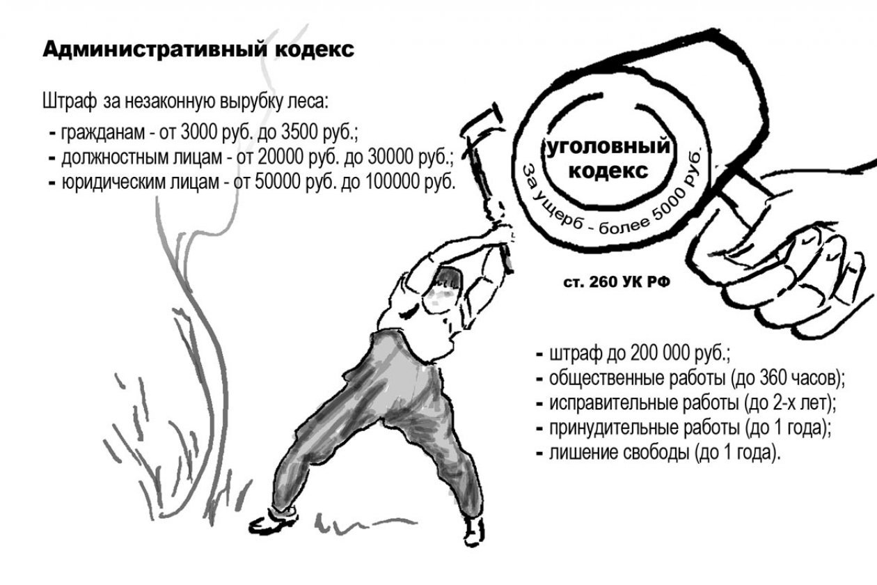 Земля ещё поживёт?