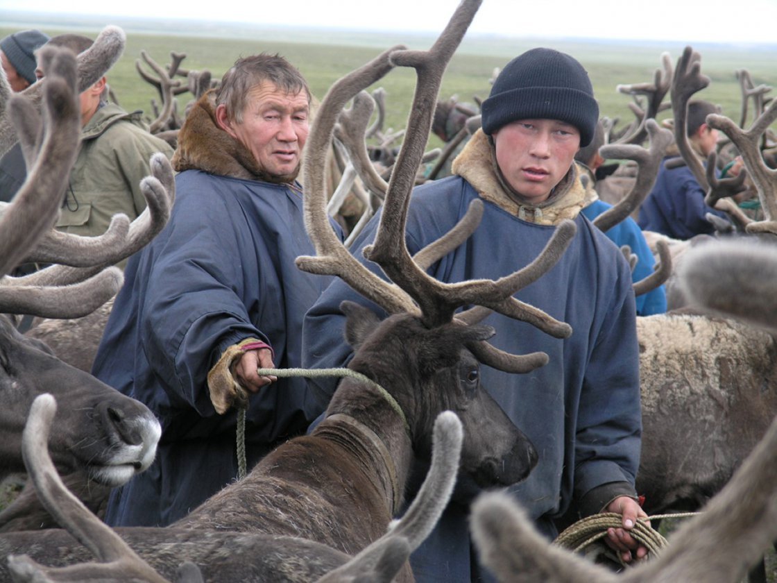 До последнего помидора