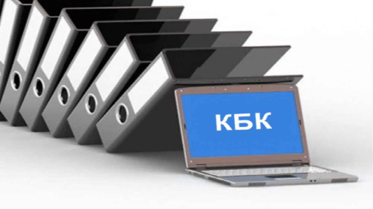 Новые коды бюджетной классификации